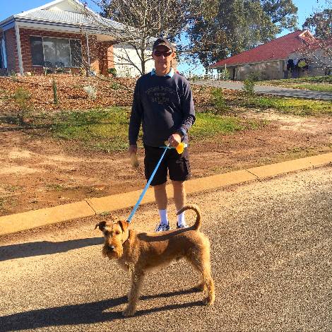 House sitter Kevin wearing a cap and walking a brown dog on a blue lead down the street